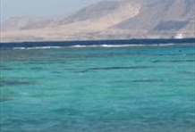 Tiran Island Snorkeling Trip